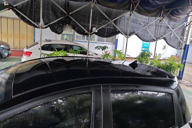 Used SOL E10X 2022 Flower Fairy Design Dandelion