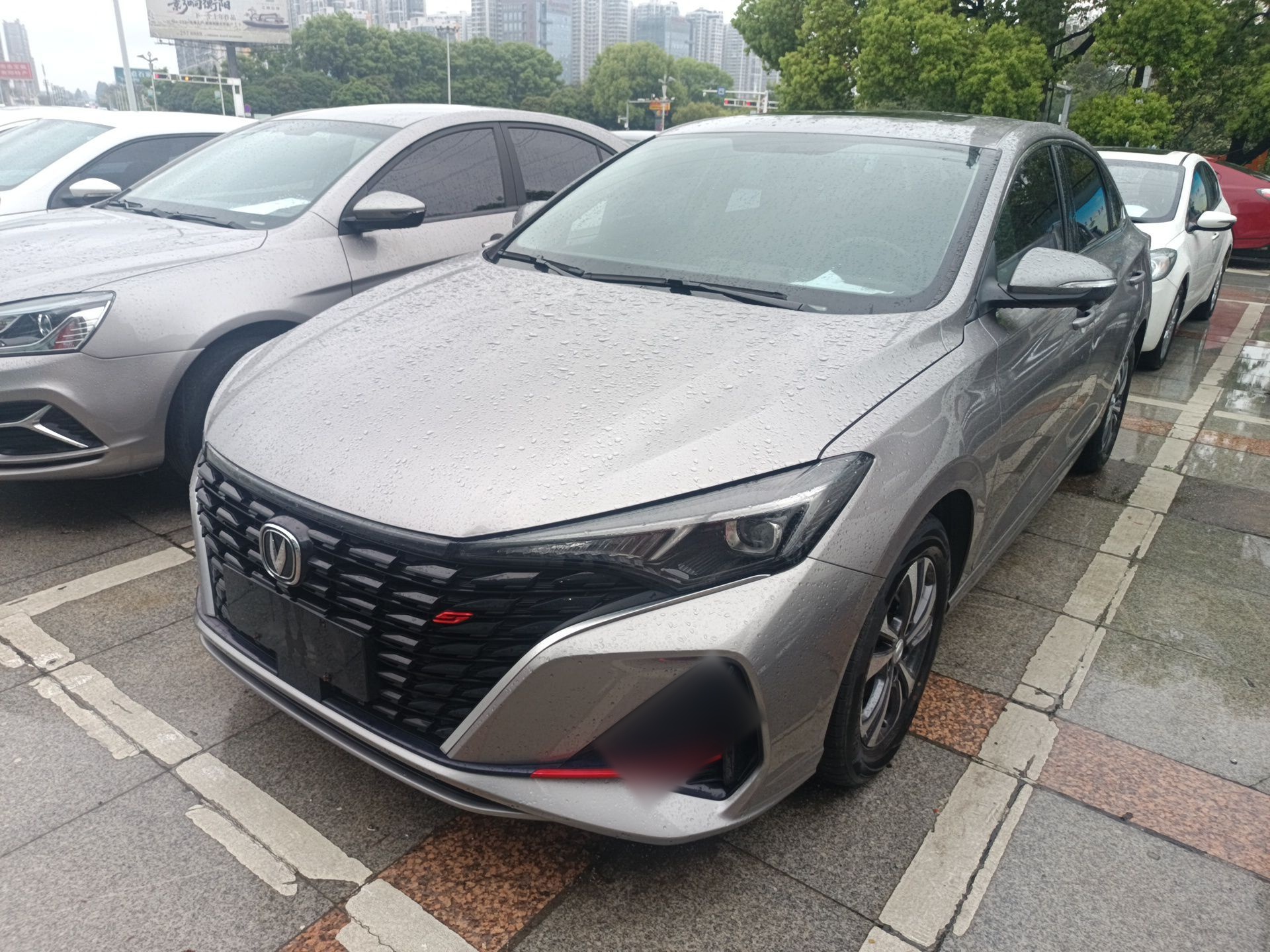 Parte inferior delantera