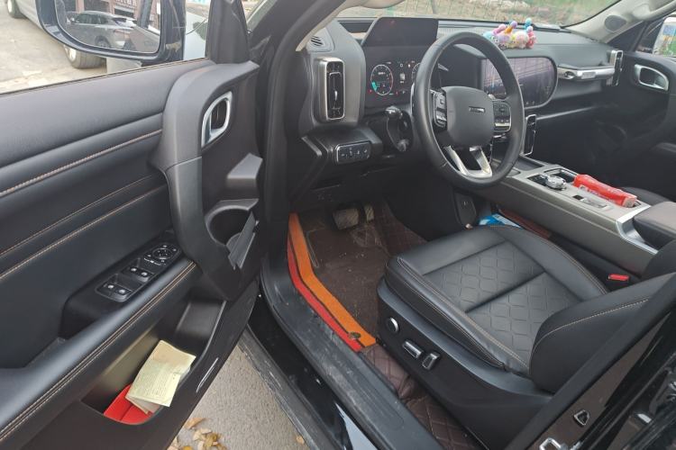 Used Haval DARGO 2024 2.0T DCT Chinese Rural Dog Edition
