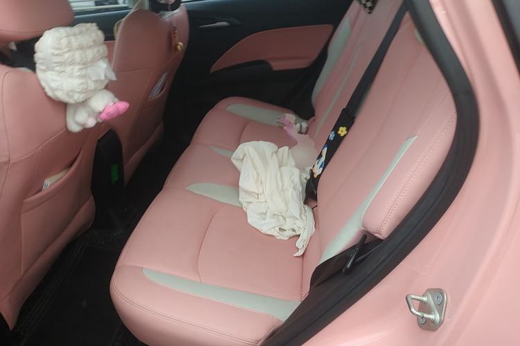 Used NETA V 2021 Long-Range Industry Custom Edition
