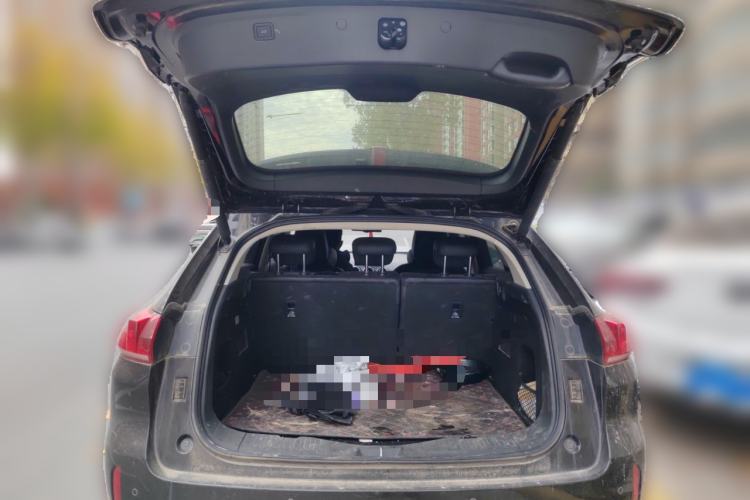 Used Wey VV5 2019 1.5T Two-Wheel Drive Smart Pioneer