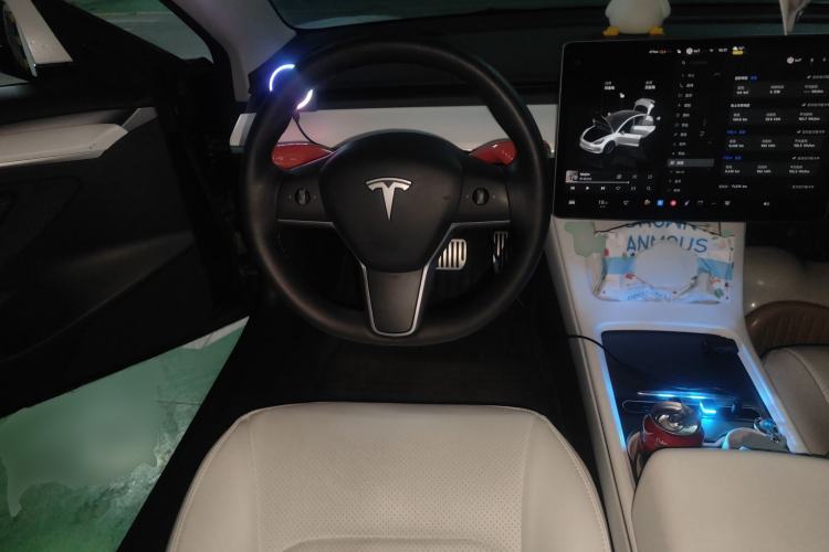 Used Tesla Model 3 2022 Rear-Wheel-Drive Version