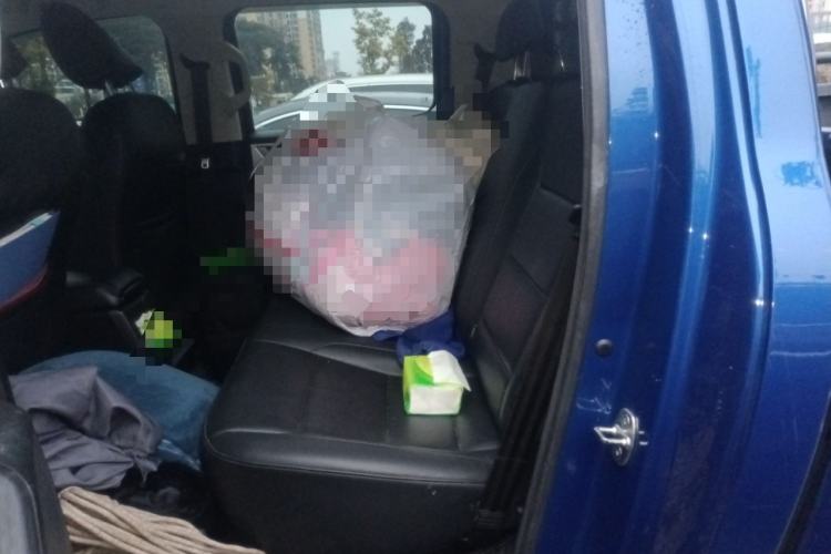 Used Great Wall Poer 2021 2.0T Commercial Version Manual Diesel Two-Wheel Drive Elite Long-Box GW4D20M
