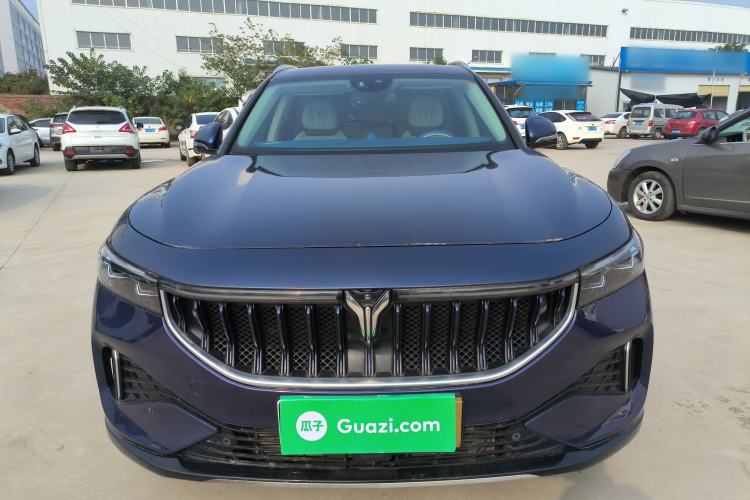 Used VOYAH FREE 2021 Four-Wheel Drive Standard Range-Extended Exclusive Luxury Package Exterior 1