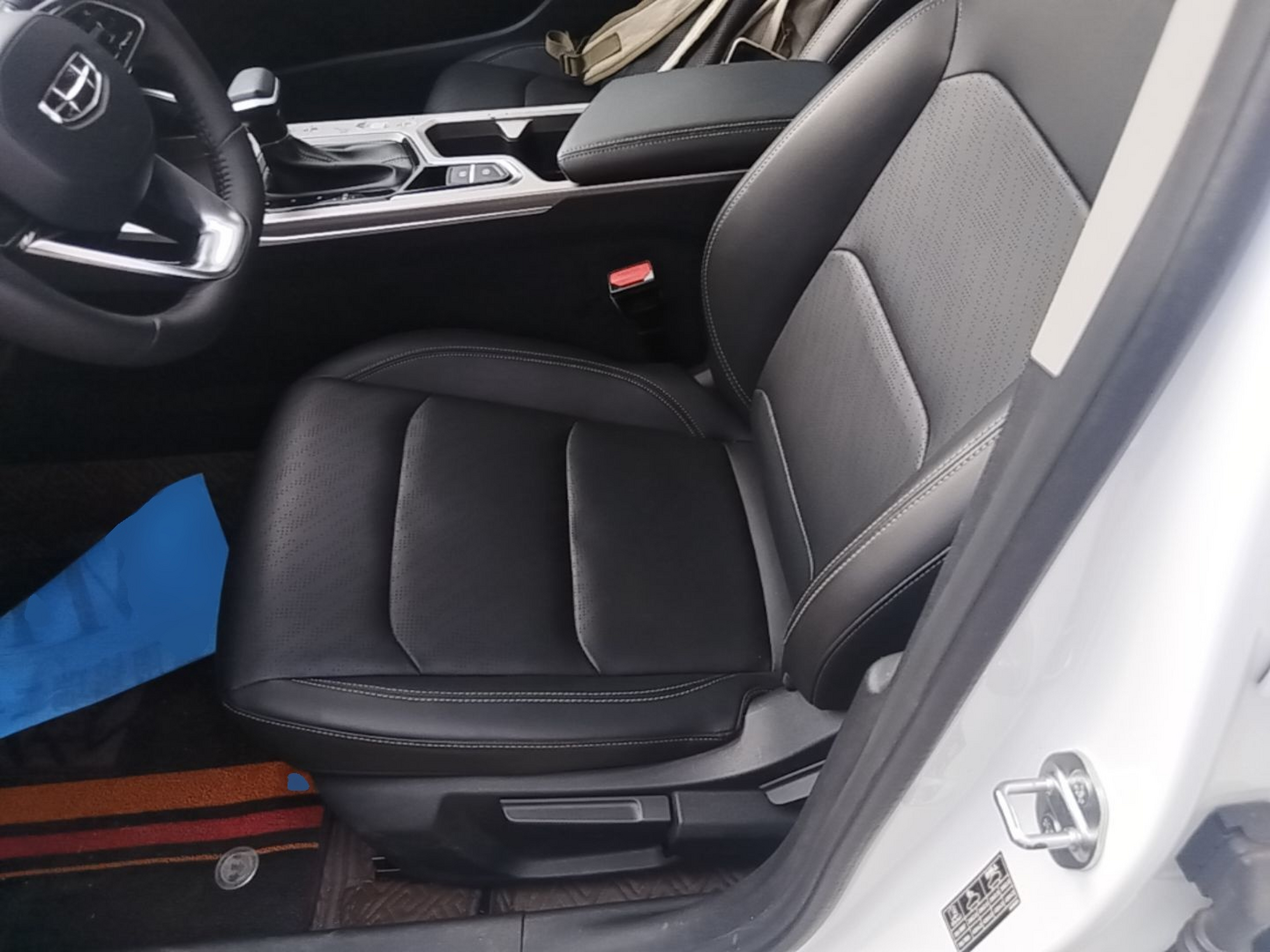Interior delantero