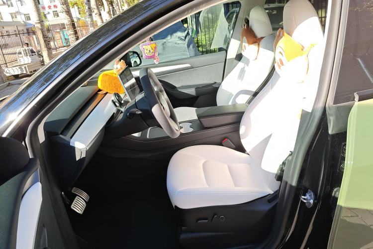 Used Tesla Model Y 2022 Performance High-Performance All-Wheel-Drive Version
