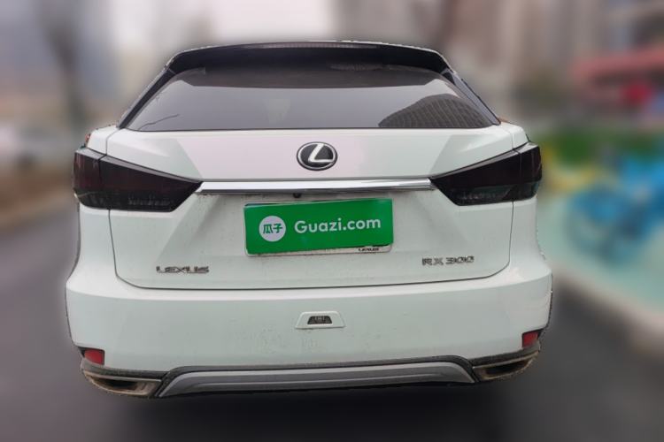 Used Lexus RX 2020 300 4x4 Elegant Edition China VI