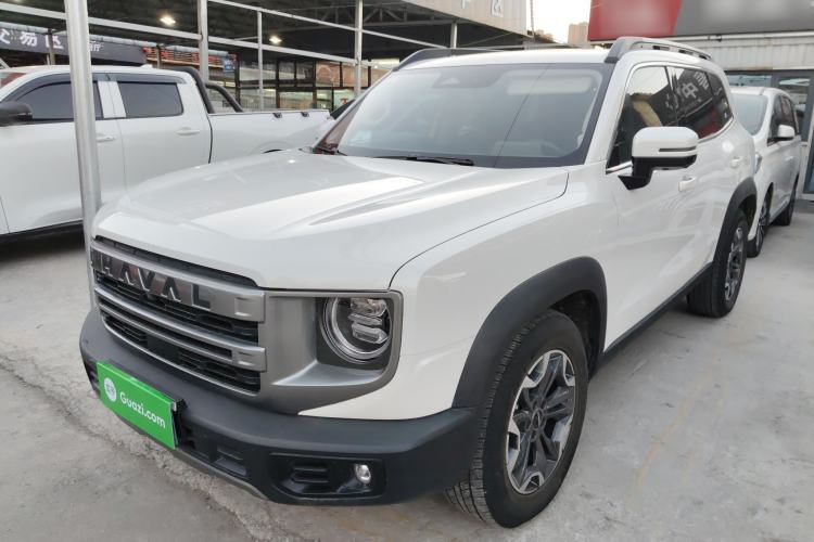 Used Haval DARGO 2024 2.0T DCT Chinese Rural Dog Edition