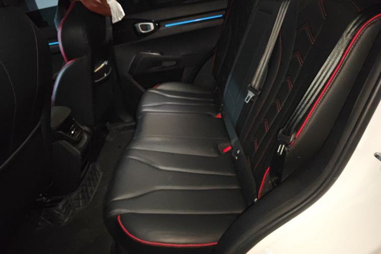 Used Haval X DOG 2022 1.5T DCT Two-Wheel Drive Trendy Edition Left Rear Seat