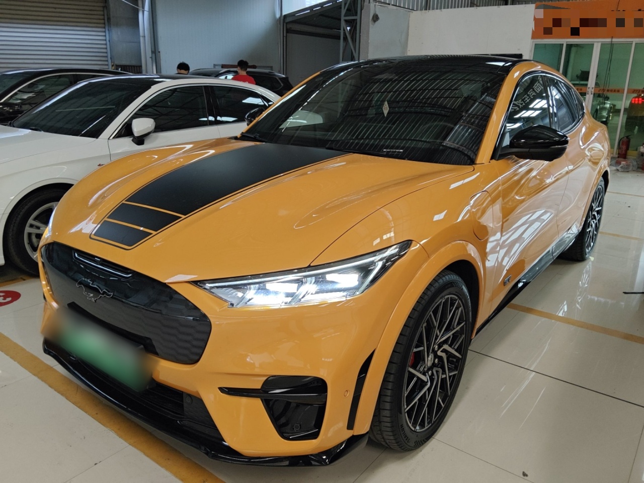 تحت مقدمة السيارة