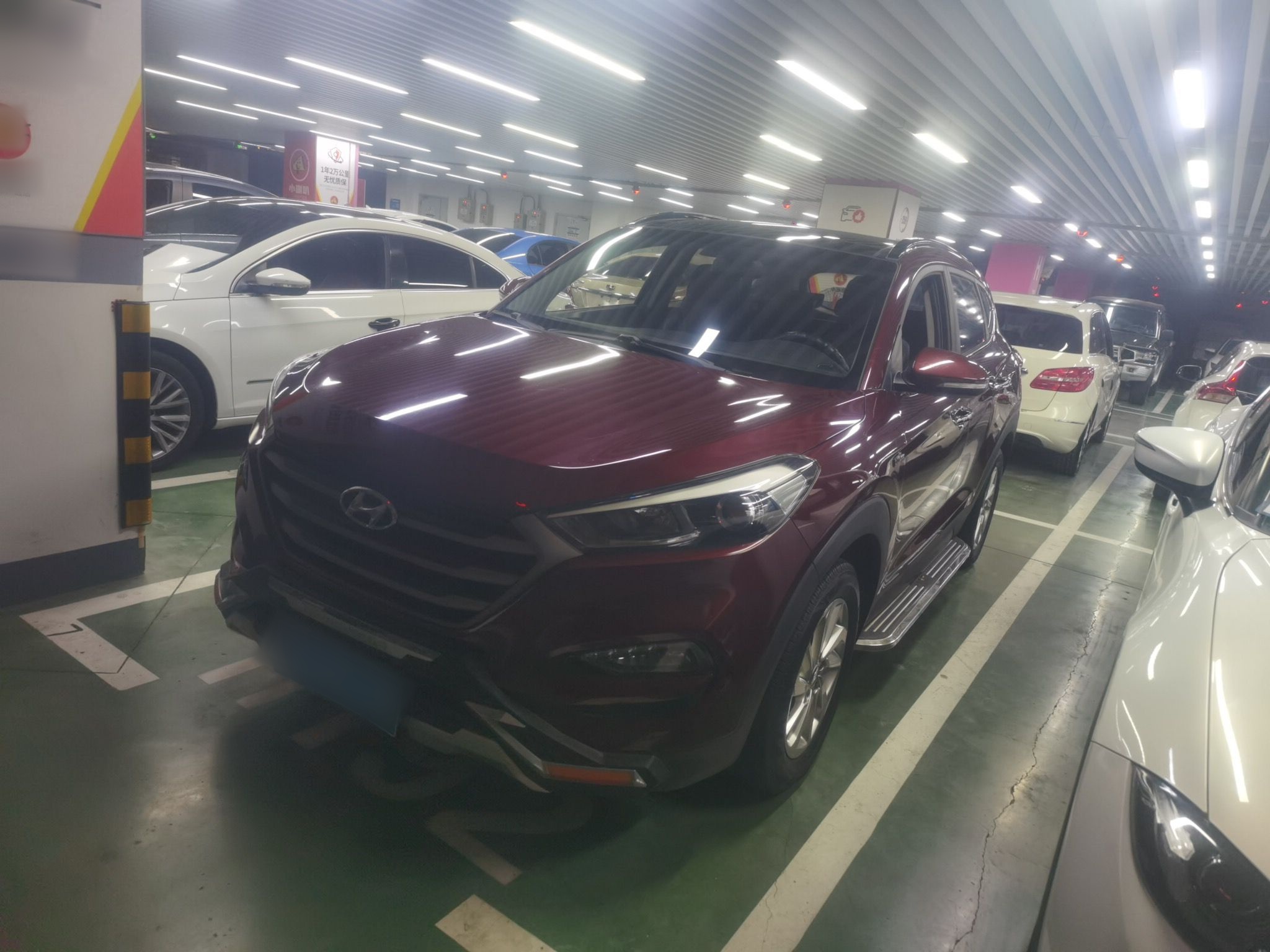 تحت مقدمة السيارة