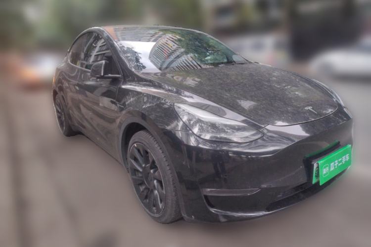 Used Tesla Model Y 2021 Standard Range Rear-Wheel Drive Version
