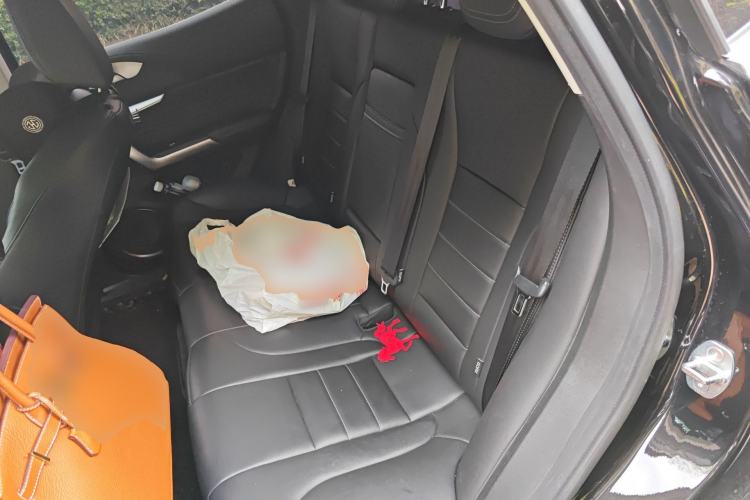 Used Wey VV5 2020 1.5T Two-Wheel Drive Smart Pioneer Left Rear Seat