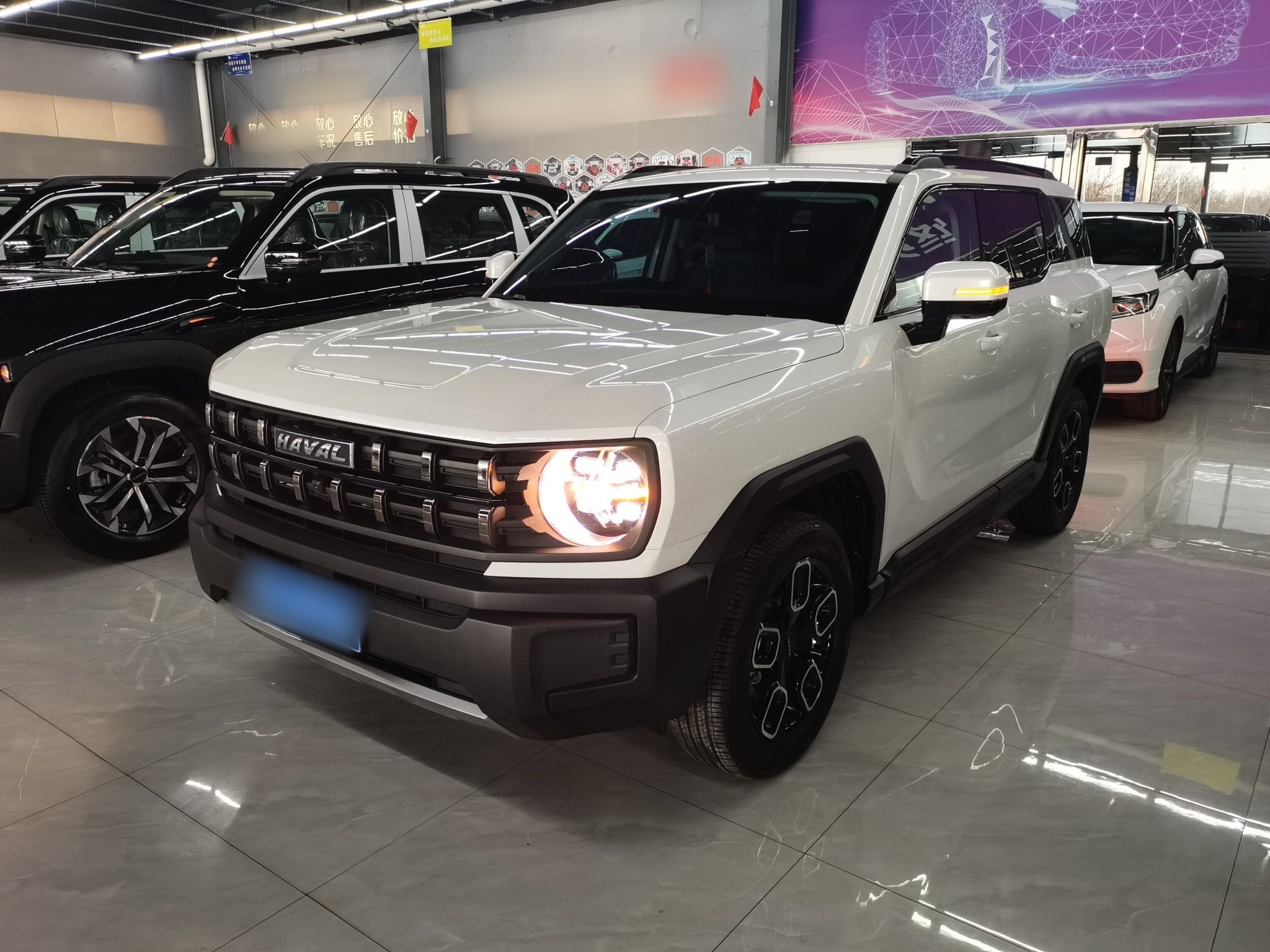 تحت مقدمة السيارة