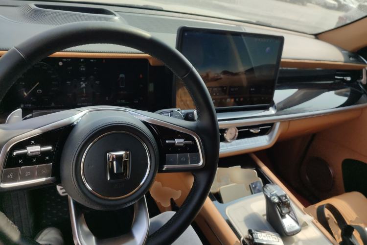 Used Tank 500 New Energy 2024 Hi4-T Center Console