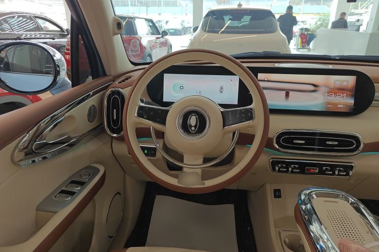 Used ORA Ballet Cat 2023 401 km Luxury Version
