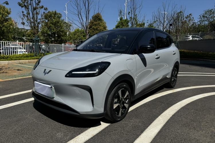 Used Wuling Bingo PLUS 2024 510 km Flagship Edition Four-Seater Version