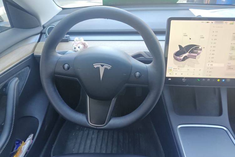 Used Tesla Model 3 2022 Rear-Wheel-Drive Version
