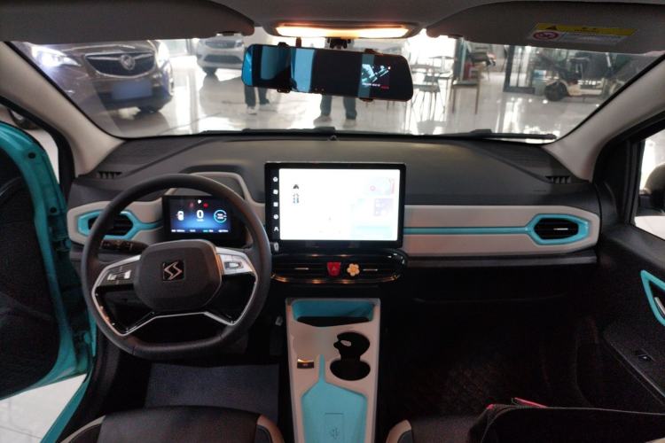 Used SOL E10X 2022 Flower Fairy Style Baby's Breath
