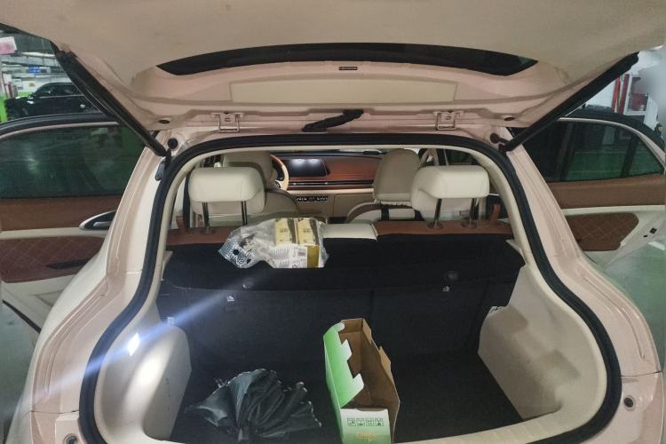 Used ORA Good Cat 2022 Morandi Edition 400km Standard Range Premium Version Lithium Iron Phosphate
