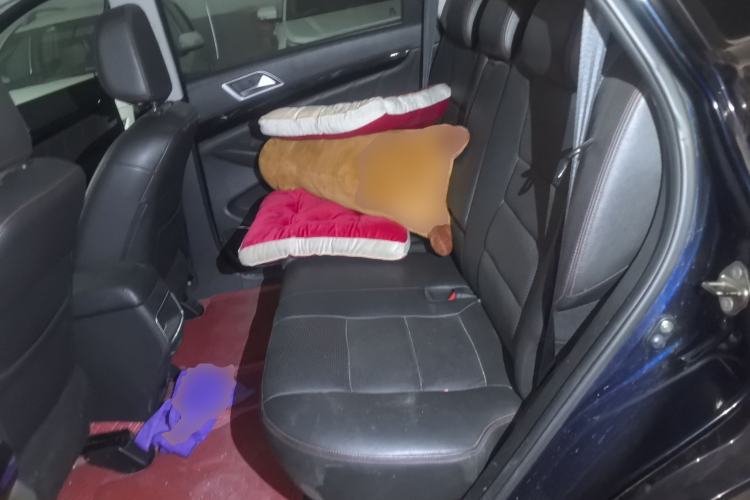 Used Leopaard CS10 2017 2.0T Manual Excellence Edition