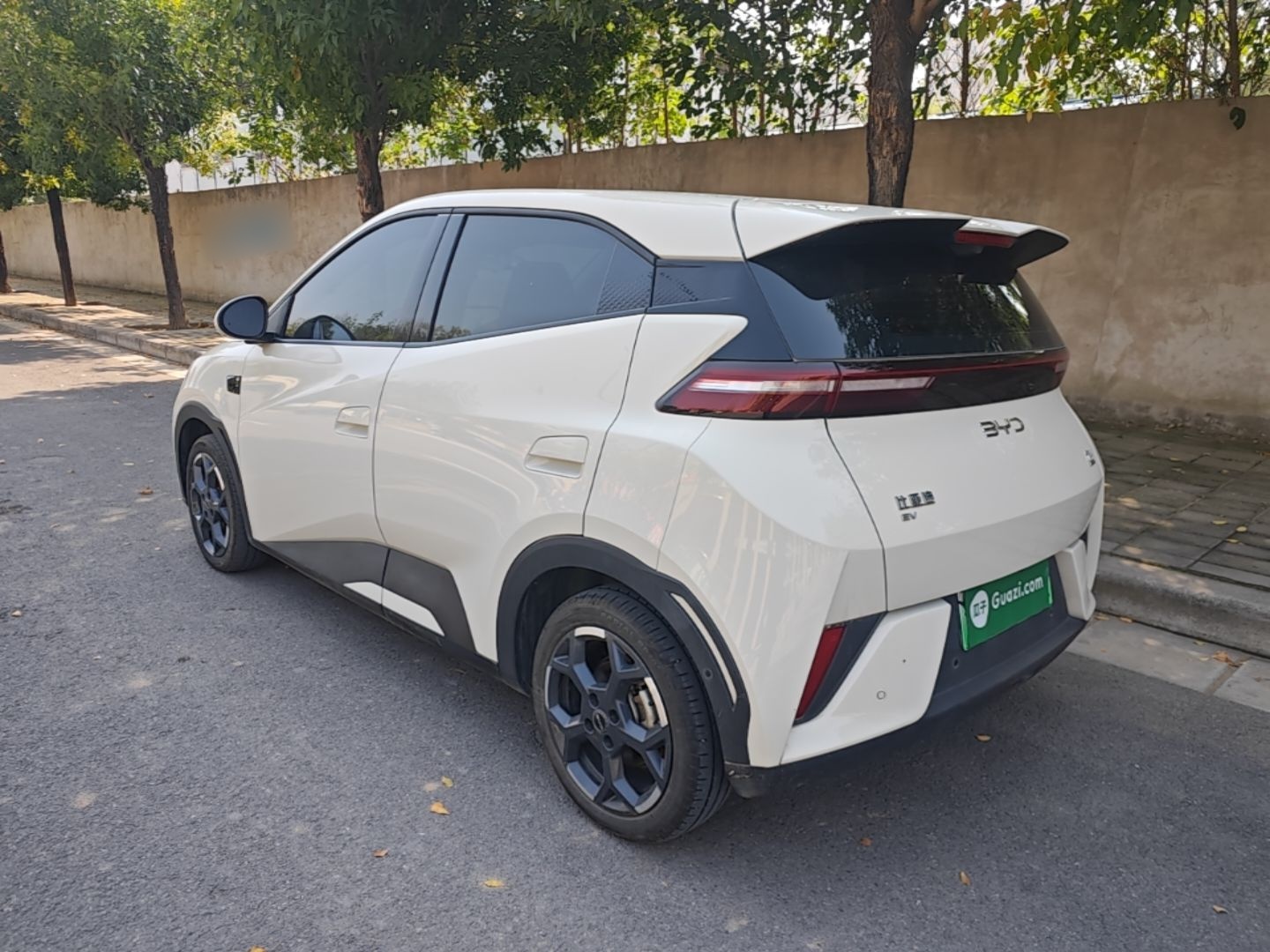 BYD Seagull 2025 Smart Drive Version 305 km Freedom Edition — снимка 4