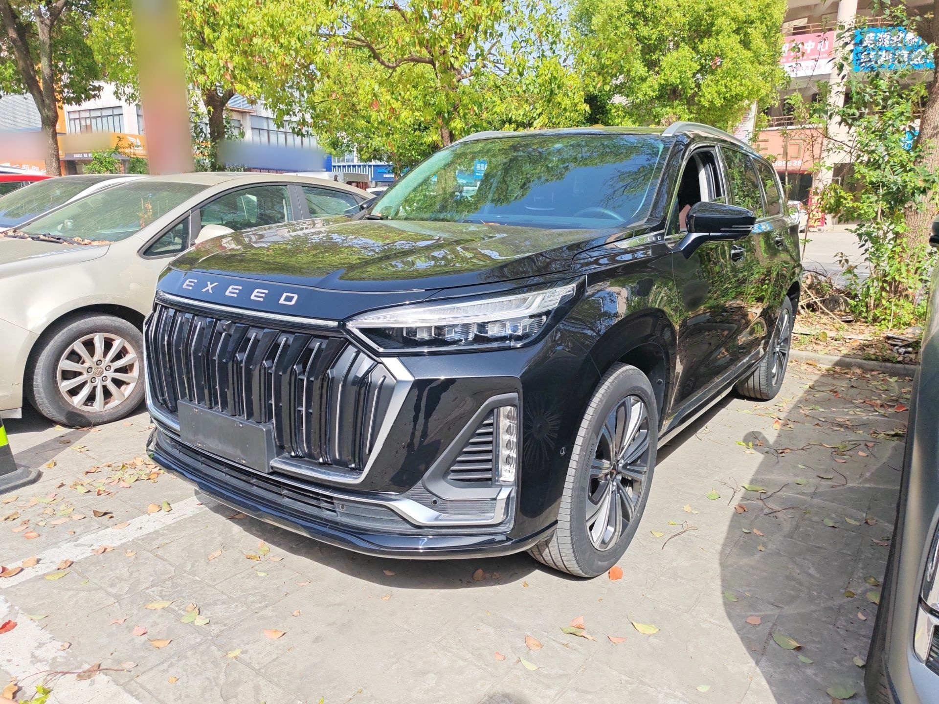 Parte inferior delantera