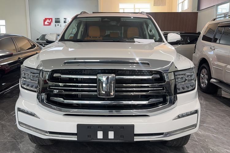 Used Tank 500 New Energy 2025 Hi4-Z Exterior 1