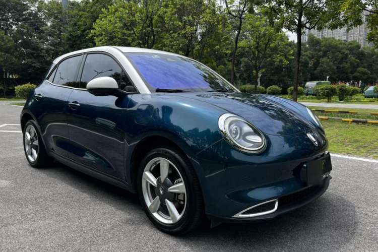 Used ORA Good Cat 2021 400km Standard Range Venus Edition Lithium-Ion Battery
