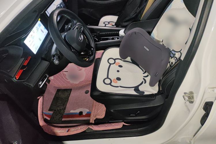 Used Geely Auto Binray 2024 Binrui COOL 1.5T DCT Longteng Edition Left Front Seat