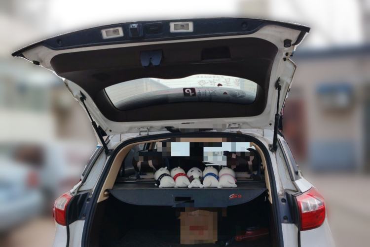 Used Leopaard CS9 2018 1.5T CVT Jinglang Model
