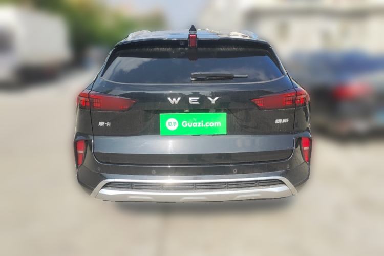 Used Wey Mocha 2021 2.0T Four-Wheel Drive Premium Edition
