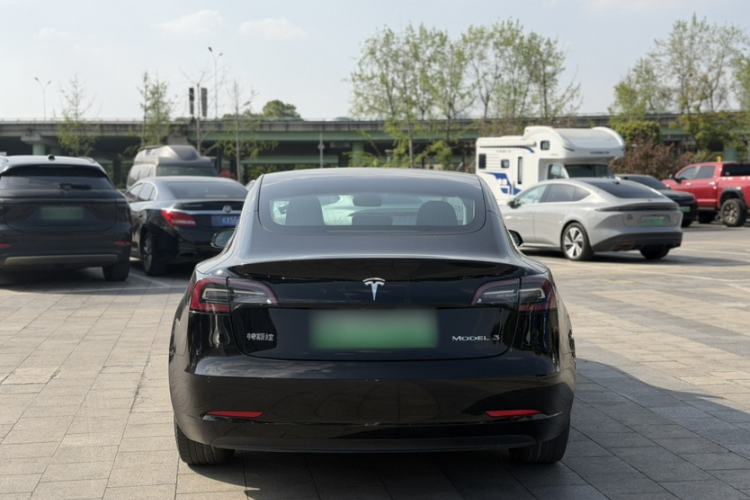 Used Tesla Model 3 2020 Revised Version Standard Range Rear-Wheel Drive – Upgraded Edition Exterior 6