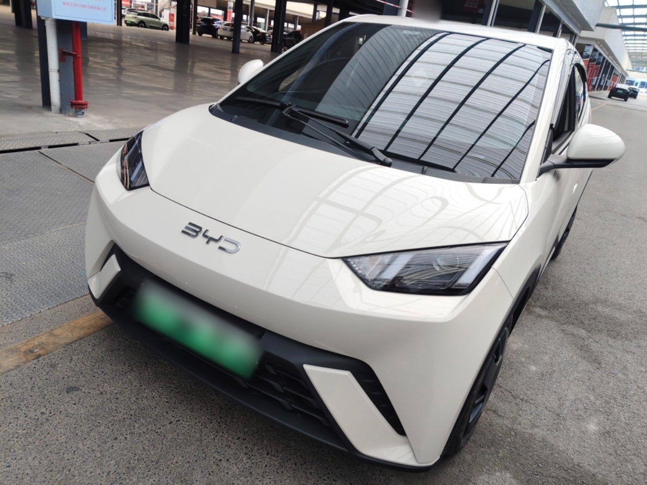 تحت مقدمة السيارة