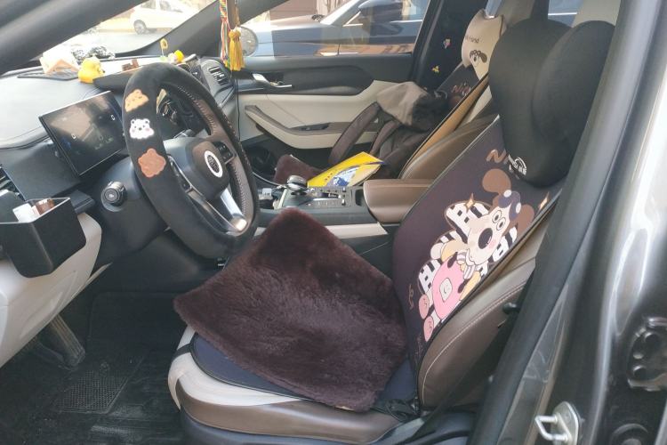 Used BYD Qin PLUS 2023 Champion Edition DM-i 55KM Leading Model