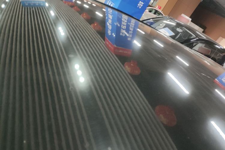 Used SOL E10X 2022 Flower Fairy Design Sunflower