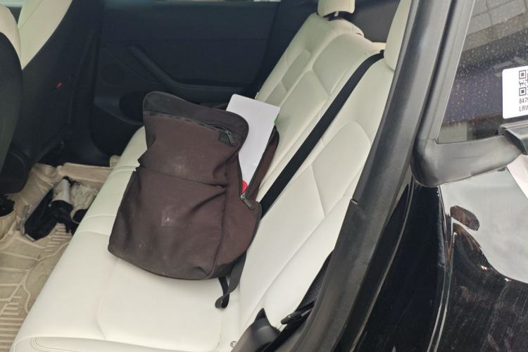 Used Tesla Model Y 2021 Standard Range Rear-Wheel Drive Version Left Rear Seat