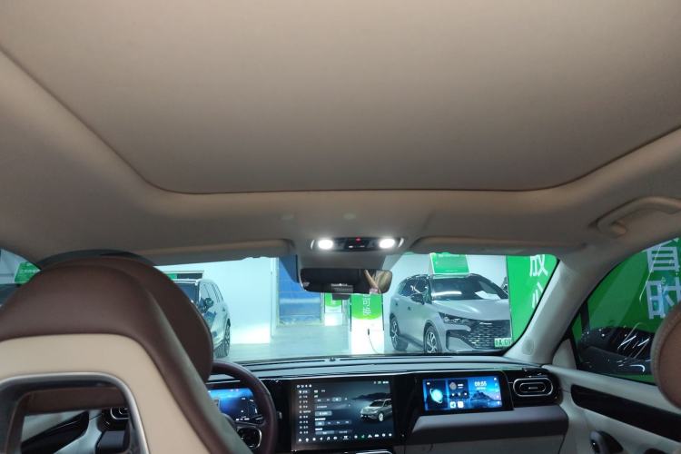 Used Leapmotor C11 2023 Range-Extended 300 Comfort Edition Headliner