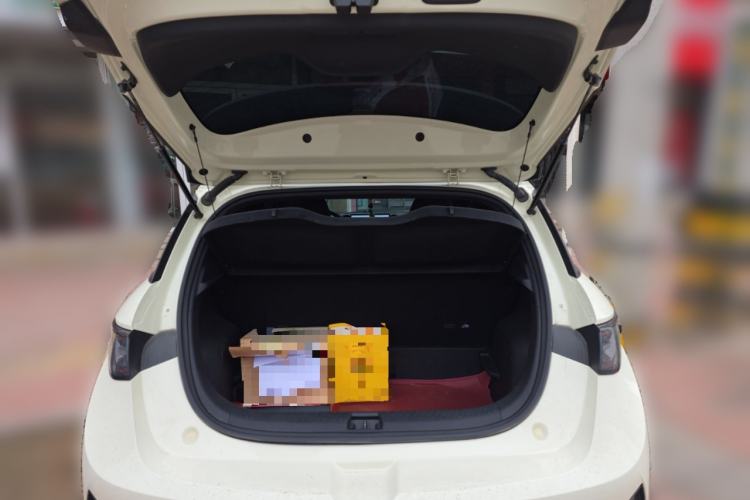 Used BYD Dolphin 2025 Smart Drive Version 420 km Freedom Edition
