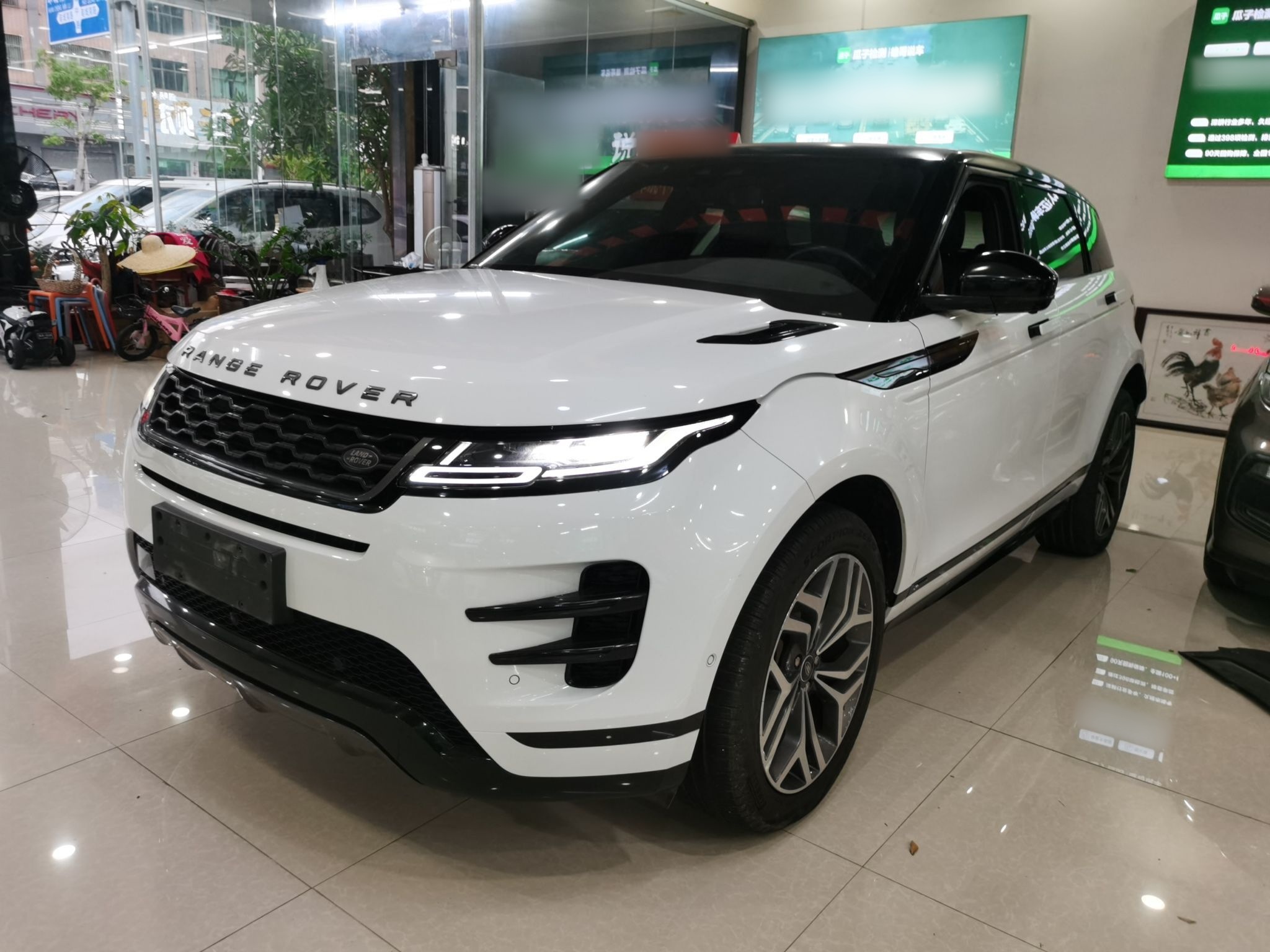 Parte inferior delantera