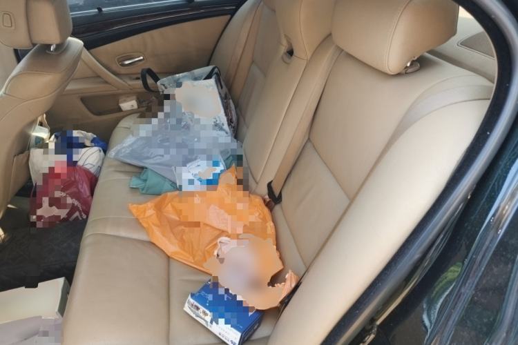 Used BMW 5 Series 2010 523Li Luxury Model