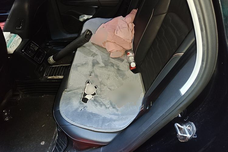 Used Volkswagen Passat 2019 330TSI Elite Edition China V Standard