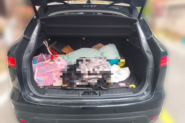 Used Jaguar F-PACE 2016 2.0T Two-Wheel-Drive R-Sport Sport Edition Trunk