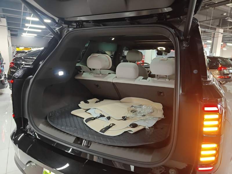 Used GAC Trumpchi Xiangwang S7 2025 205 km Max Version — 18