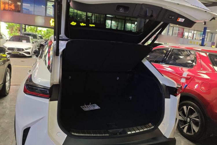 Used Lexus RZ 2023 450e All-Wheel Drive Luxury Edition Trunk