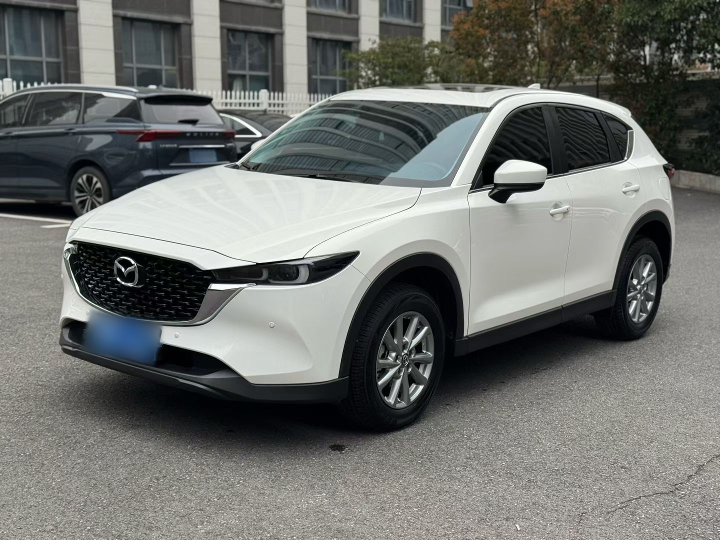 Parte inferior delantera