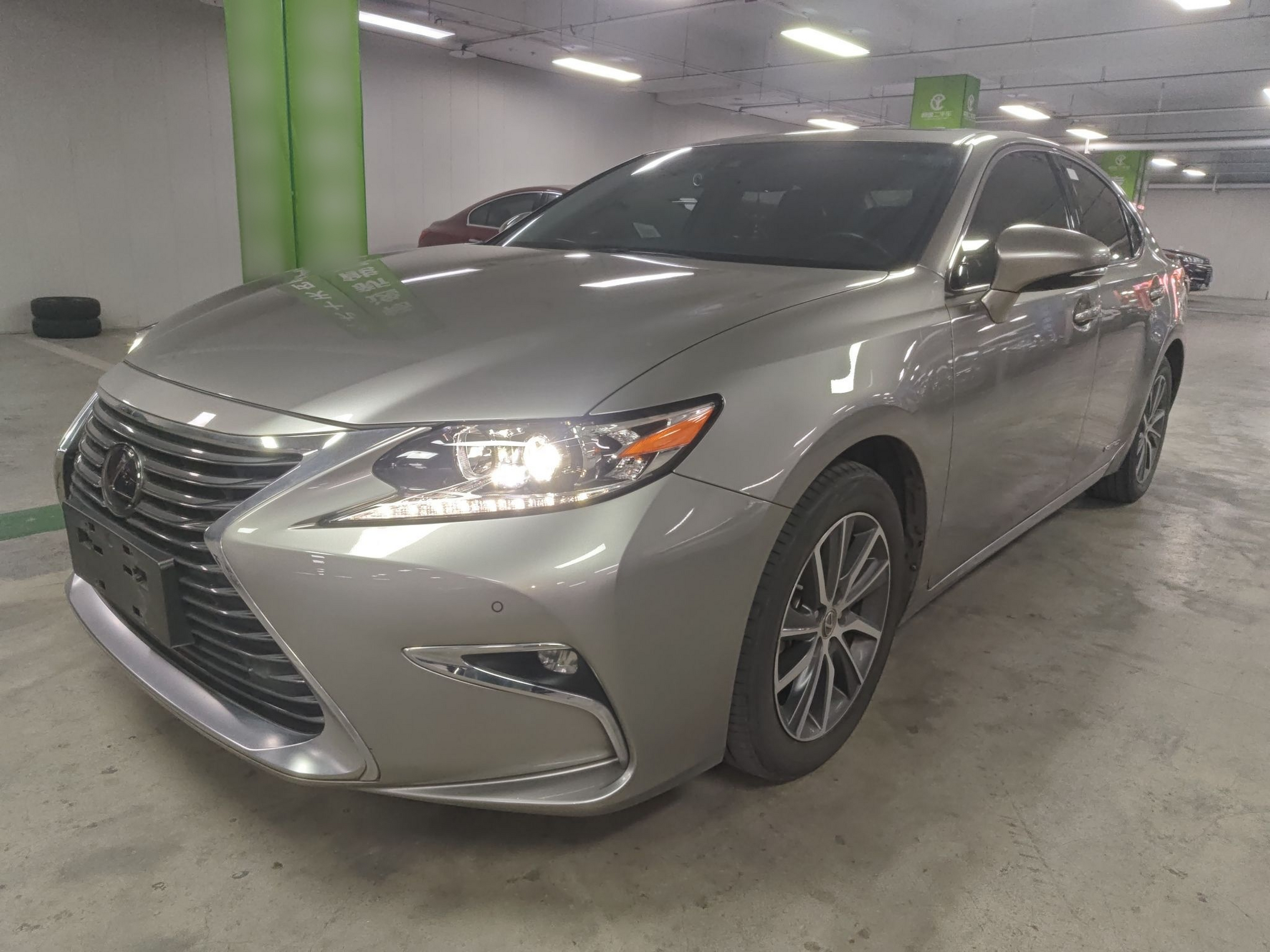 Parte inferior delantera