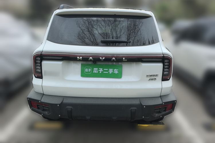 Used Haval DARGO 2024 2.0T DCT Chinese Rural Dog Edition Rear