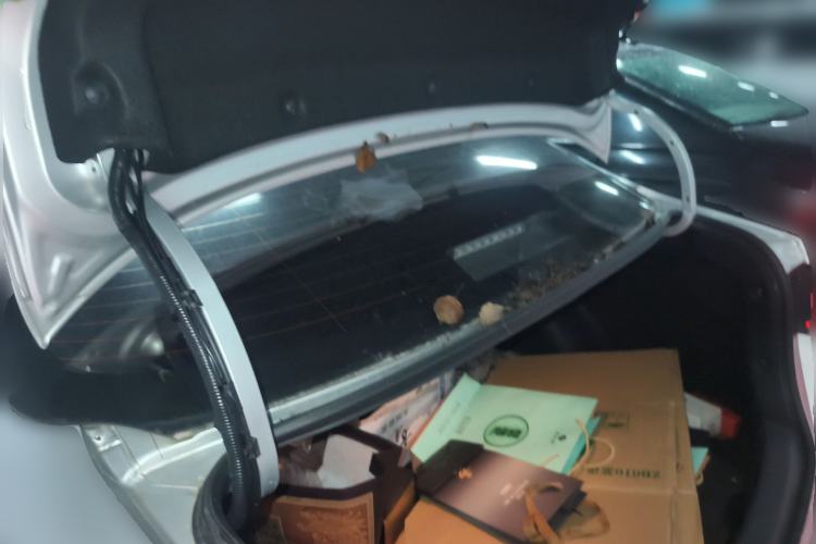 Used Toyota Corolla 2022 TNGA 1.5L CVT Pioneer Edition Trunk