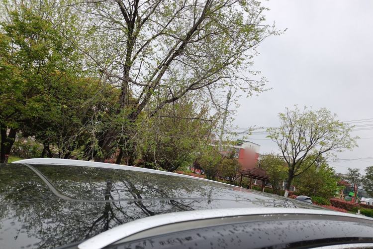 Used Hongqi HS7 PHEV 2024 2.0T PHEV Four-Wheel Drive Flagship Edition 6 Seats